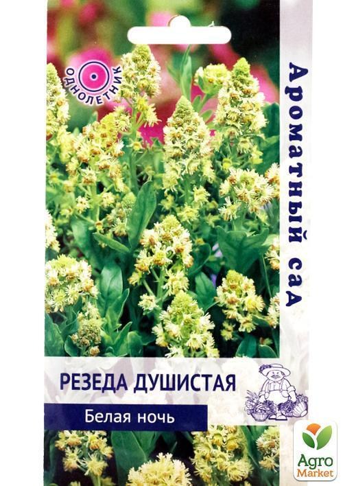 Резеда душистая "Белая ночь" ТМ "Поиск" 0.3г