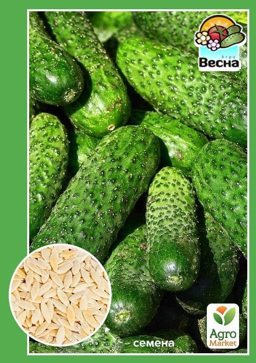 Огірок "Сільський ярмарок F1" (Новий пакет) ТМ "Весна" 0.25г