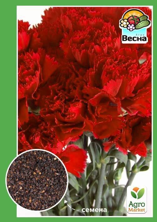 Гвоздика двулетник "Гренадин красная" ТМ "Весна" 0.3г