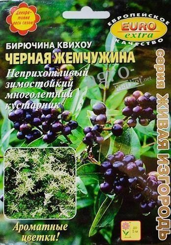 Бирючина квіхоу "Чорна перлина" ТМ "Аеліта" 0.2г