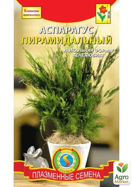 Аспарагус пірамідальний ТМ "Плазмові насіння" 4шт