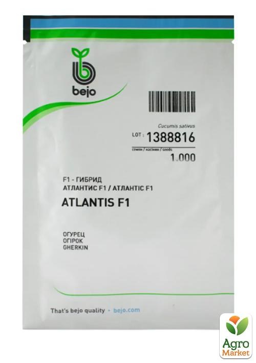 Огірок "Атлантіс F1" ТМ "Bejo" 1000шт