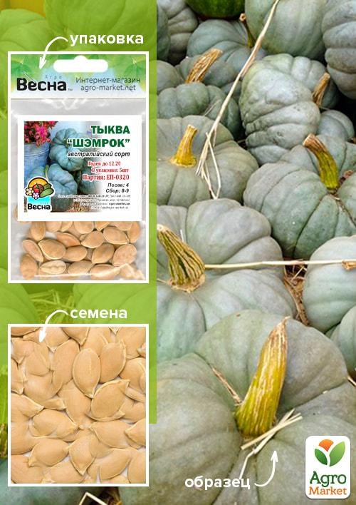 Тыква "Шэмрок" (Зипер) ТМ "Весна" 5шт