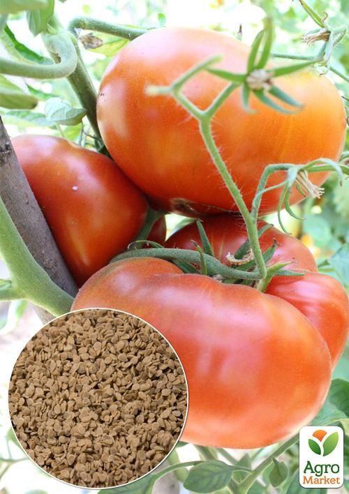 На развес Томат "Альпийский мед" ТМ "Весна" цена за 1г