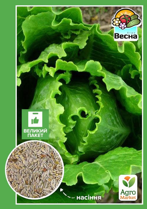 Салат "Латук" (Большой пакет) ТМ "Весна" 3г