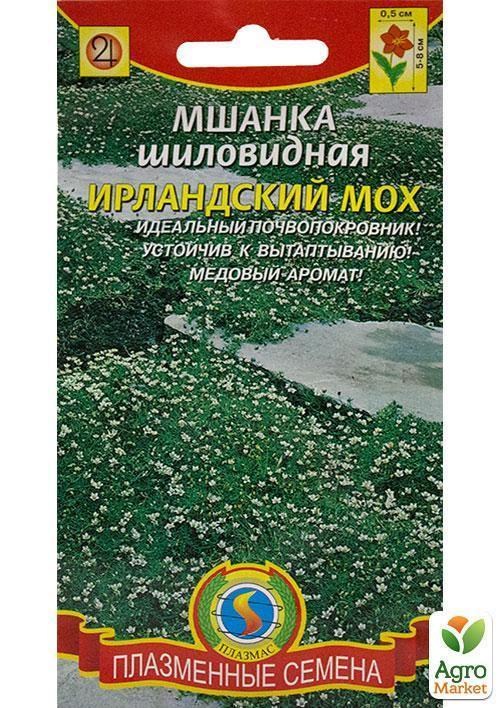 Моховатка шіловідная "Ірландський мох" ТМ "Плазмові насіння" 0,01г