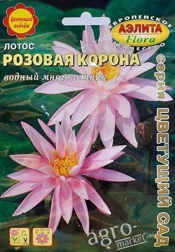 Лотос "Рожева корона" ТМ "АЕЛІТА" 2шт