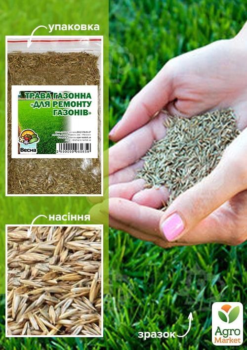 Трава газонна "Для ремонту газонів" ТМ "Весна" 100г
