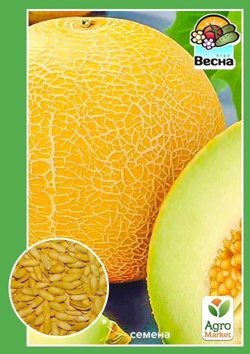 Дыня "Фортуна" ТМ "Весна" 1.5г