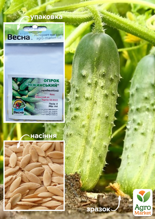 Огурец "Нежинский" (Зипер) ТМ "Весна" 2г