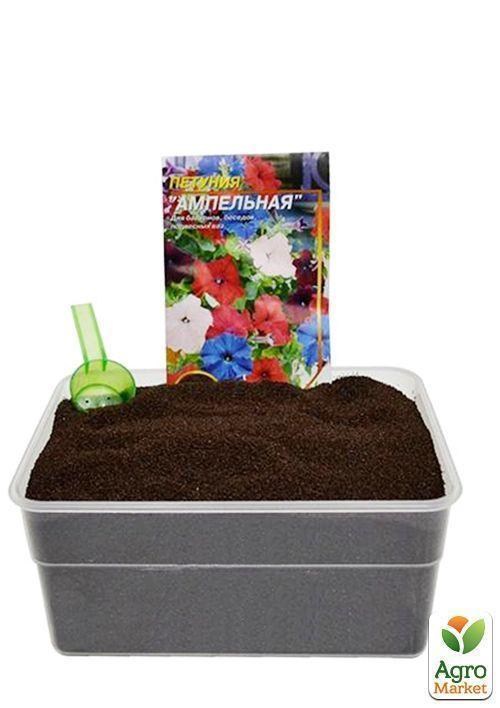 На развес Петуния ампельная ТМ "Весна" цена за 1,5г - фото 2