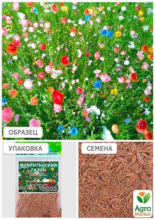 Мавританский газон (Зипер) ТМ "Весна" 15г - фото 4
