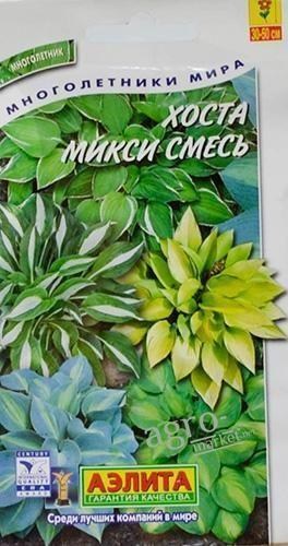 Хоста "мікс суміш" ТМ "АЕЛІТА" 7шт