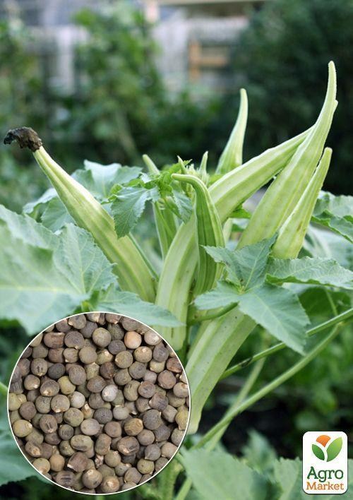 На вагу Бамія "Окра" ТМ "Весна" ціна за 4г