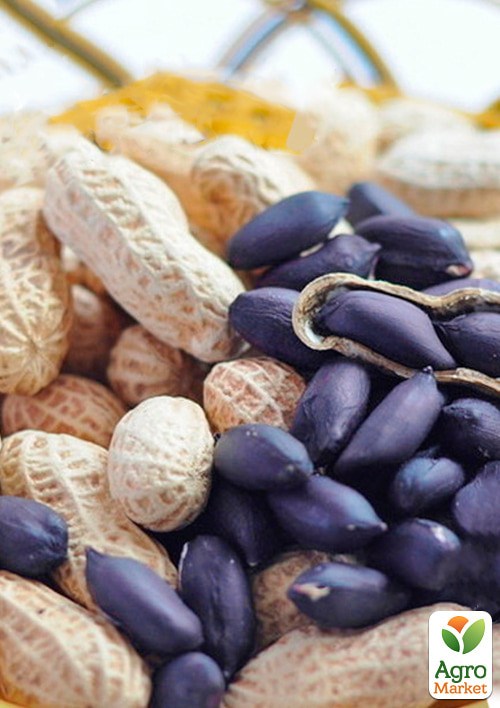 Арахис "Черный Рио" ТМ "Vesna Select" 5шт