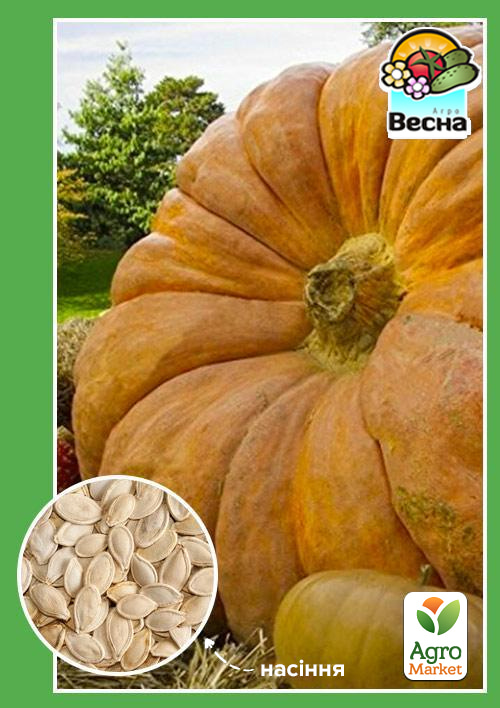 Гарбуз "Титан" ТМ "Весна" 2г