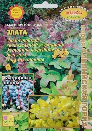 Магонія повзуча "Злата" ТМ "Аеліта"