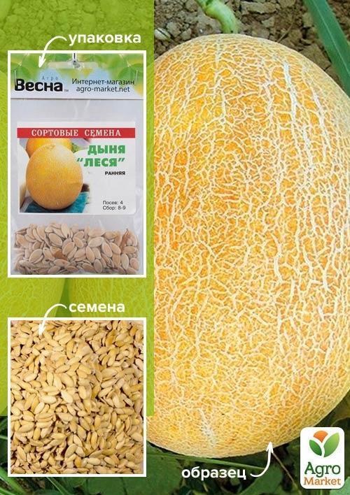 Диня "Леся" (Зипер) ТМ "Весна" 4г