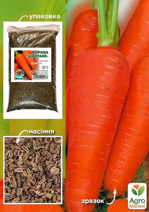 Морква "Шантане" ТМ "Весна" 500г