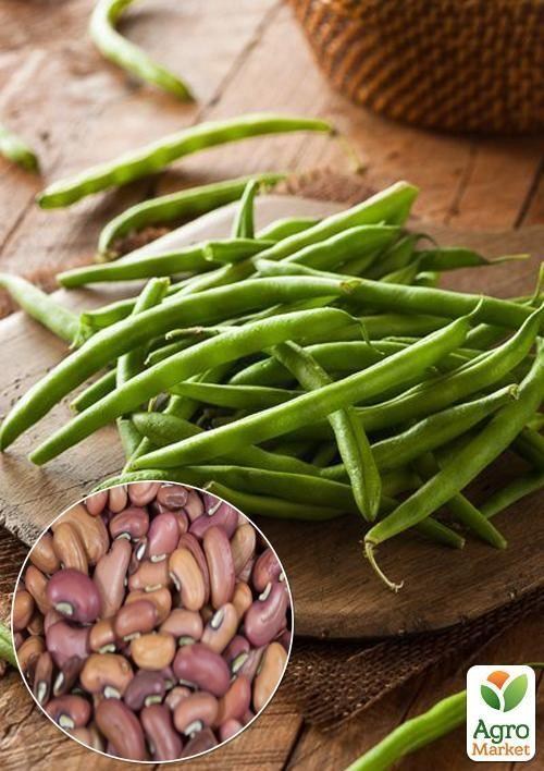 На развес Вигна "Китайская" ТМ "Весна" цена за 4г