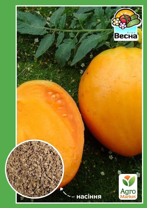 Томат "Медовий спас" ТМ "Весна" 0.1г