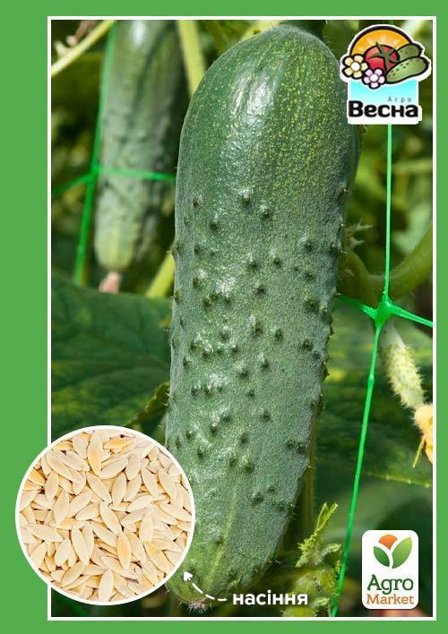 Огірок "Справжній полковник F1" ТМ "Весна" 0.25г