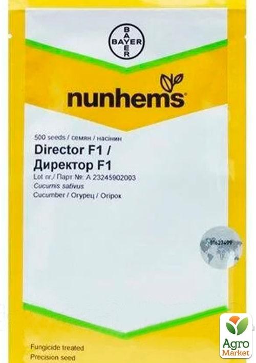 Огірок "Директор F1" ТМ "Nunhems" 500шт