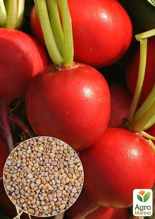 На развес Редис "Рова" ТМ "Весна" цена за 10г