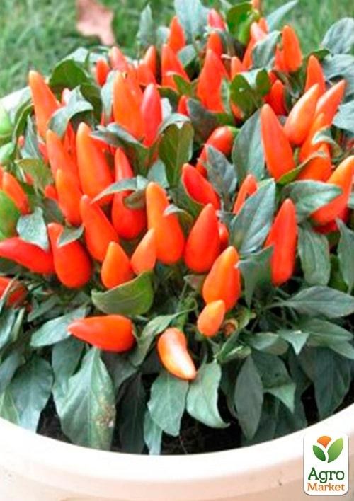 Перец комнатный "Oraneta" сладкий (съедобный, декоративный)