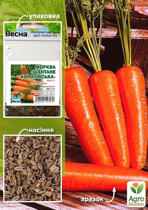 Морковь "Шантане королевская" (Зипер) ТМ "Весна" 5г