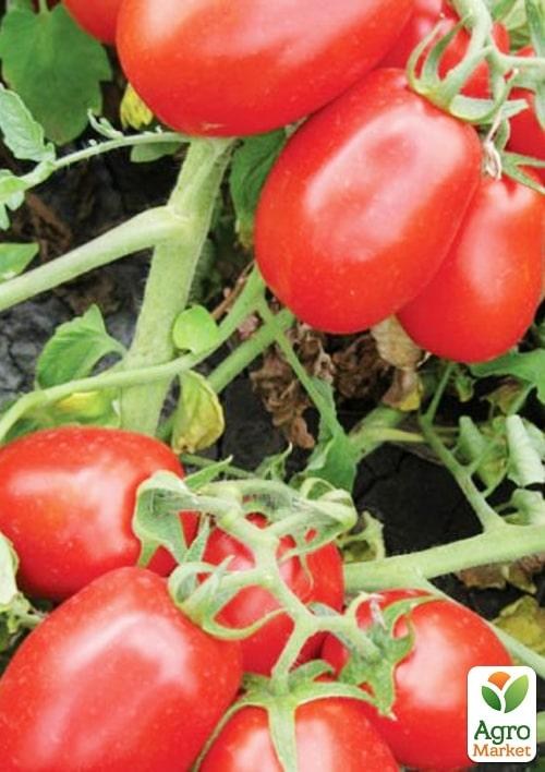 Томат детермінантний "1311 F1" ТМ "Lark Seeds" 5000шт