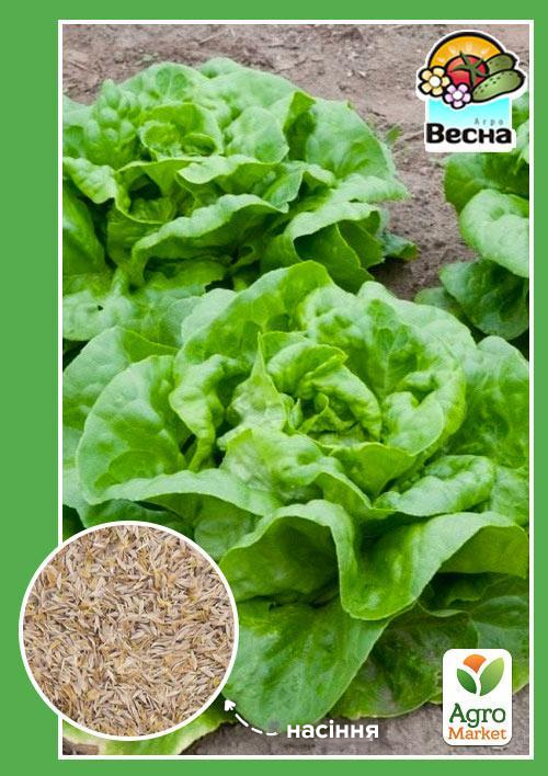 Салат качанний "Годар" ТМ "Весна" 0.5г