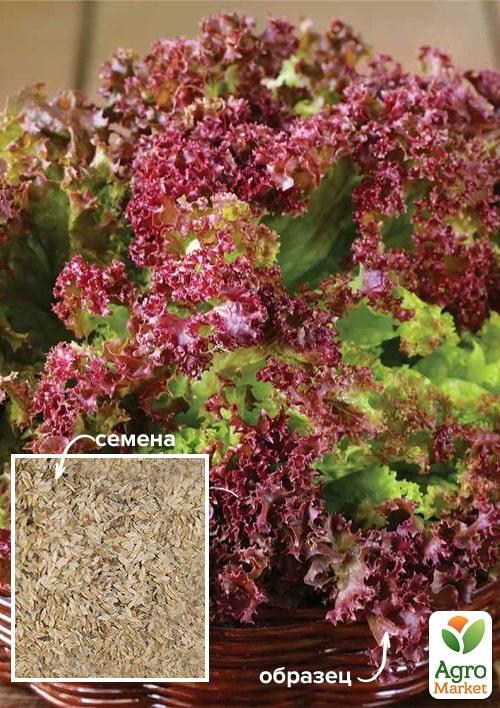 Салат "Лолло Росса" ТМ "Весна" 500г