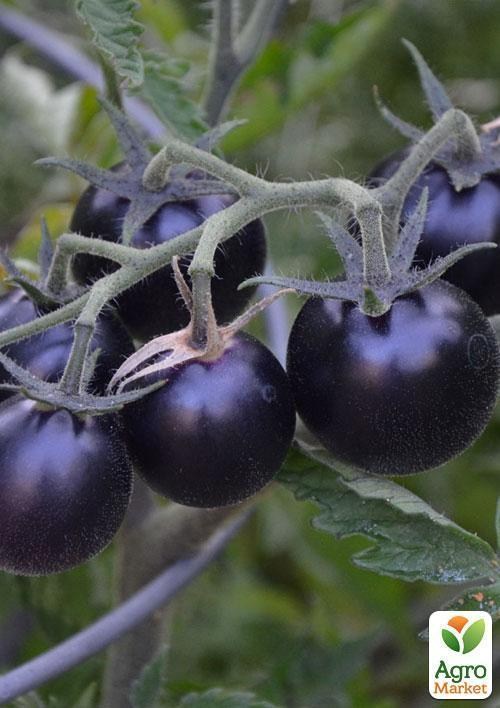 Томат-чері чорно-червоний "Смурфс" ТМ "Vesna Exclusive" 5шт - фото 4