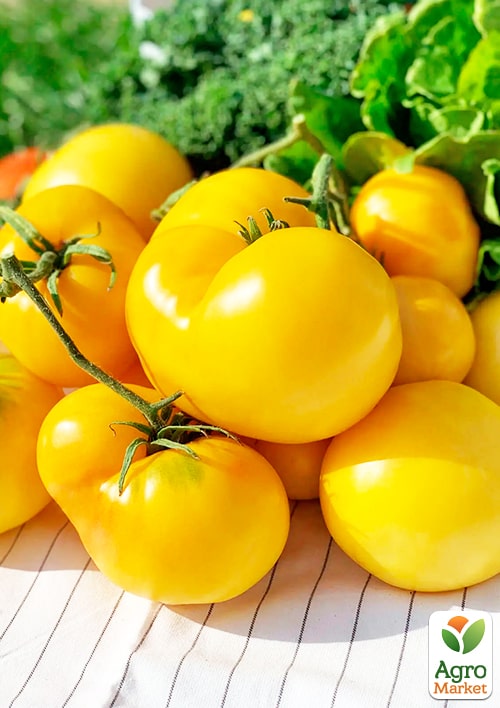 Томат "Золота осінь" ТМ "Vesna Select" 0.2г - фото 3