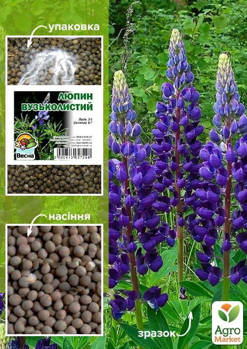 Люпин узколистный ТМ "Весна" 1 КГ