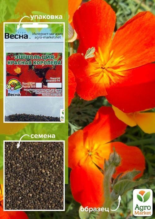 Ешшольція "Червона королева" (Зипер) ТМ "Весна" 1г