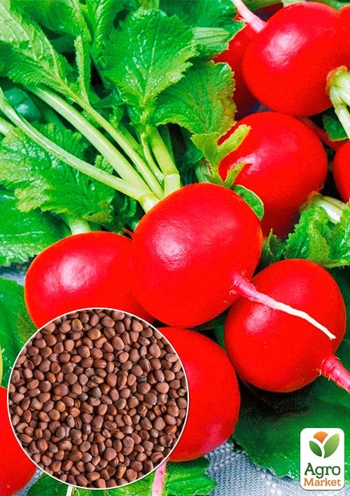 Редис "Хруст" (Зипер) ТМ "Весна" 7г