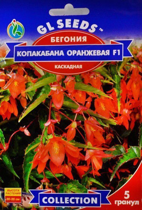Бегонія каскадна "Копакабана помаранчева F1" ТМ "GL SEEDS" 5шт