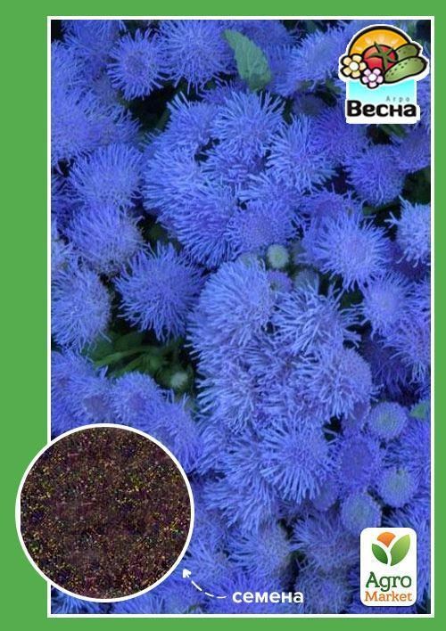 Агератум блакитний ТМ "Весна" 0.2г
