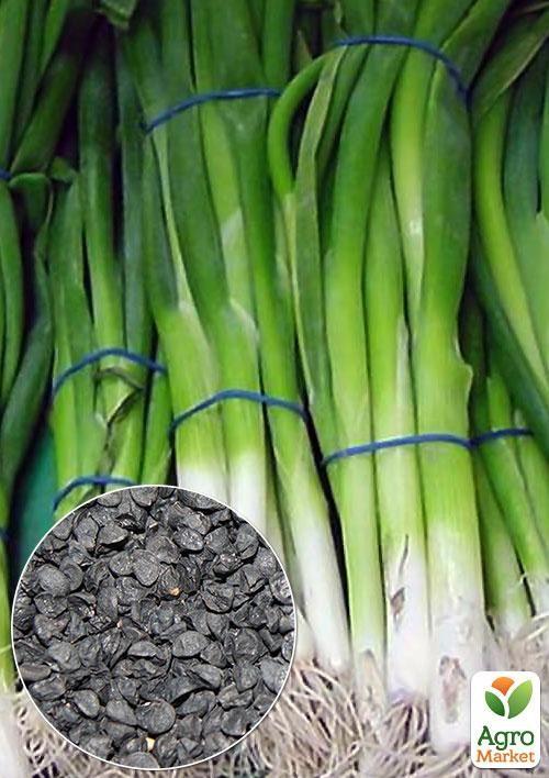 На вагу Цибуля "На перо" ТМ "Весна" ціна за 3г