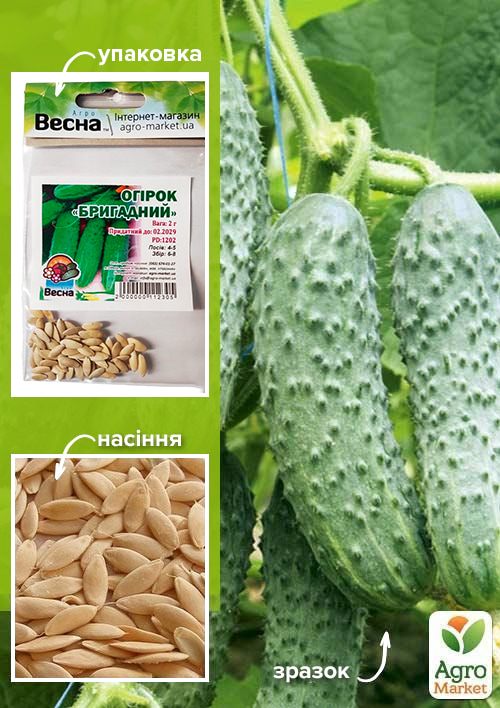 Огірок "Бригадний" (Зипер) ТМ "Весна" 2г