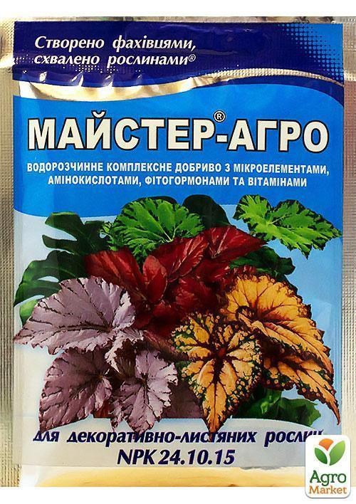 Минеральное Удобрение Master(Мастер) NPK 24.10.15 "Для декоративно-лиственных" ТМ "Сенат" 25г