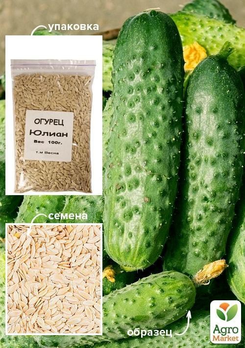 Огірок "Юліан" ТМ "Весна" 100г