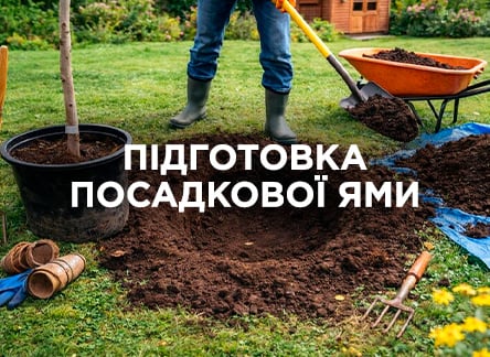 Подготавливаем посадочную яму для саженцев