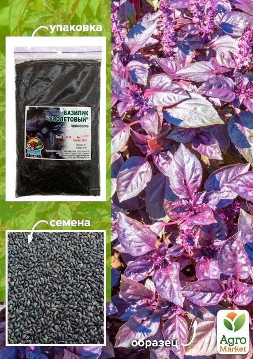 Базилік "Фіолетовий" ТМ "Весна" 100г