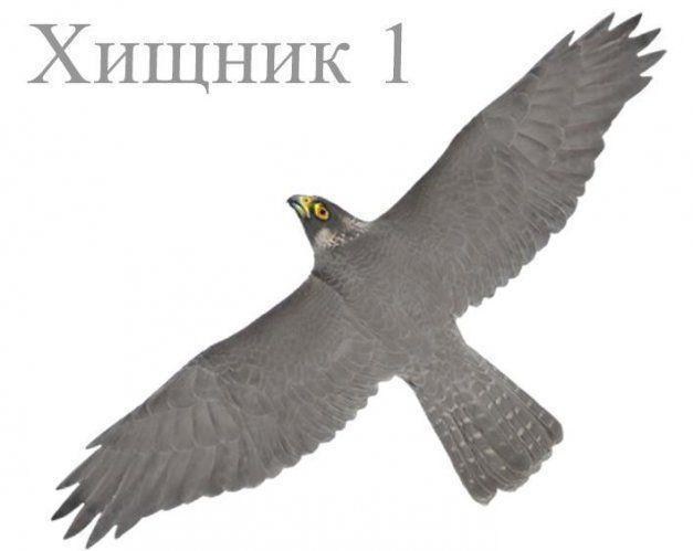 Визуальный отпугиватель птиц Хищник 1