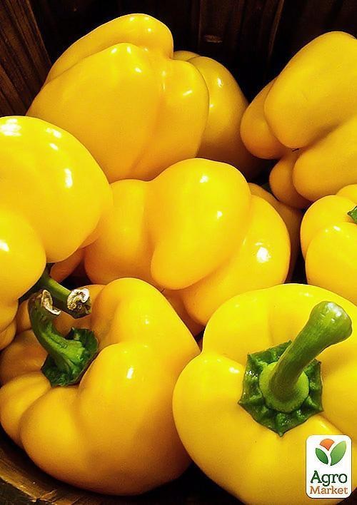 Перец "Маримба" ТМ "Vesna Select" 20шт - фото 2