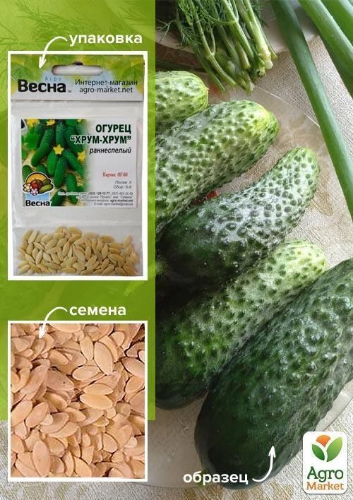 Огірок "Хрум-хрум" (Зипер) ТМ "Весна" 2г