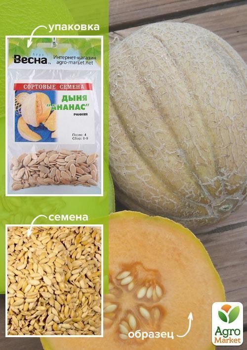 Дыня "Ананас" (Зипер) ТМ "Весна" 4г